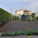 Kompleksowa Rewitalizacja Ogrodu W Koronowie 2